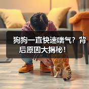 狗狗一直快速喘气?背后原因大揭秘!(图2) 狗狗一直快速喘气?背后原因大揭秘!(图2)