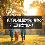 狗狗心脏肥大能活多久?真相太惊人!(图4) 狗狗心脏肥大能活多久?真相太惊人!(图4)