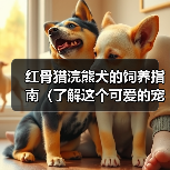 红骨猎浣熊犬的饲养指南(了解这个可爱的宠物的生活习惯和需求,让你成为一个负责任的主人)(图4) 红骨猎浣熊犬的饲养指南(了解这个可爱的宠物的生活习惯和需求,让你成为一个负责任的主人)(图4)