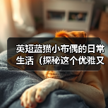 英短蓝猫小布偶的日常生活（探秘这个优雅又可爱的蓝色小猫咪的生活点滴）