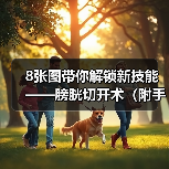 8张图带你解锁新技能——膀胱切开术(附手术视频)(图2) 8张图带你解锁新技能——膀胱切开术(附手术视频)(图2)