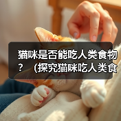 猫咪是否能吃人类食物？（探究猫咪吃人类食物的反应）