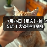 1月26日【重庆】(第125期)丨犬猫外科(高阶)班!含SUB(人人可实操)、乳糜胸等技术!(图3) 1月26日【重庆】(第125期)丨犬猫外科(高阶)班!含SUB(人人可实操)、乳糜胸等技术!(图3)
