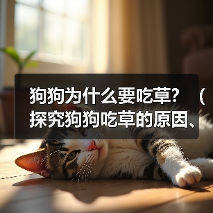 狗狗为什么要吃草？（探究狗狗吃草的原因、类型以及影响）