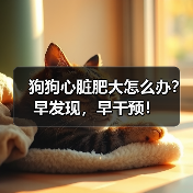 狗狗心脏肥大怎么办？早发现，早干预！