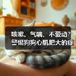 咳嗽、气喘、不爱动？警惕狗狗心肌肥大的症状！
