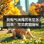 狗狗气喘得厉害是怎么回事？常见病因揭秘（图2）