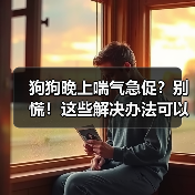 狗狗晚上喘气急促?别慌!这些解决办法可以帮忙(图2) 狗狗晚上喘气急促?别慌!这些解决办法可以帮忙(图2)