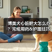 博美犬心脏肥大怎么办？常规用药&护理技巧