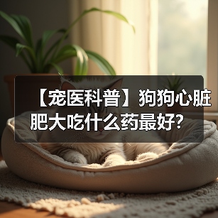 【宠医科普】狗狗心脏肥大吃什么药最好?(图3) 【宠医科普】狗狗心脏肥大吃什么药最好?(图3)
