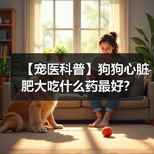 【宠医科普】狗狗心脏肥大吃什么药最好?(图2) 【宠医科普】狗狗心脏肥大吃什么药最好?(图2)