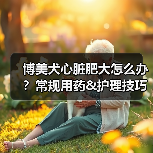 博美犬心脏肥大怎么办？常规用药&护理技巧（图2）