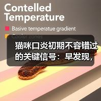 猫咪口炎初期不容错过的关键信号：早发现，早治疗！