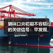 猫咪口炎初期不容错过的关键信号:早发现,早治疗!(图3) 猫咪口炎初期不容错过的关键信号:早发现,早治疗!(图3)