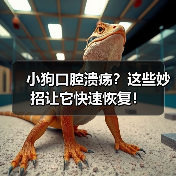 小狗口腔溃疡？这些妙招让它快速恢复！（图2）