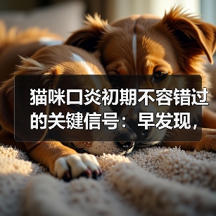 猫咪口炎初期不容错过的关键信号:早发现,早治疗!(图4) 猫咪口炎初期不容错过的关键信号:早发现,早治疗!(图4)