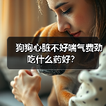 狗狗心脏不好喘气费劲吃什么药好?(图2) 狗狗心脏不好喘气费劲吃什么药好?(图2)
