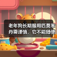 老年狗长期服用匹莫苯丹需谨慎，它不能随便停药！