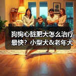 狗狗心脏肥大怎么治疗最快？小型犬&老年犬主人必知！