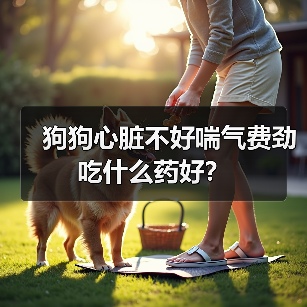 狗狗心脏不好喘气费劲吃什么药好？