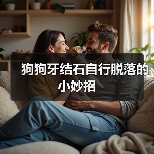 狗狗牙结石自行脱落的小妙招（图2）