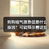 狗狗喘气很急促是什么原因？可能预示着这些严重问题！（图4）