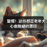 警惕！这些都是老年犬心衰晚期的表现