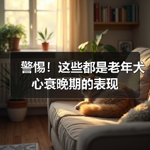 警惕!这些都是老年犬心衰晚期的表现(图2) 警惕!这些都是老年犬心衰晚期的表现(图2)