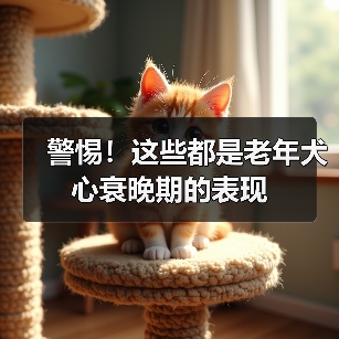 警惕!这些都是老年犬心衰晚期的表现(图4) 警惕!这些都是老年犬心衰晚期的表现(图4)