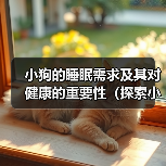 小狗的睡眠需求及其对健康的重要性(探索小狗睡眠模式与健康之间的关系)(图2) 小狗的睡眠需求及其对健康的重要性(探索小狗睡眠模式与健康之间的关系)(图2)
