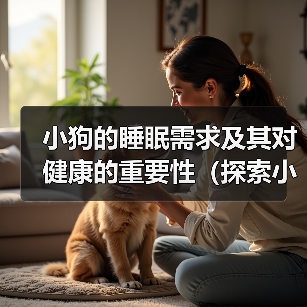 小狗的睡眠需求及其对健康的重要性(探索小狗睡眠模式与健康之间的关系)(图4) 小狗的睡眠需求及其对健康的重要性(探索小狗睡眠模式与健康之间的关系)(图4)