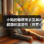 小狗的睡眠需求及其对健康的重要性(探索小狗睡眠模式与健康之间的关系)(图3) 小狗的睡眠需求及其对健康的重要性(探索小狗睡眠模式与健康之间的关系)(图3)