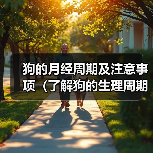 狗的月经周期及注意事项(了解狗的生理周期,关注宠物健康)(图3) 狗的月经周期及注意事项(了解狗的生理周期,关注宠物健康)(图3)