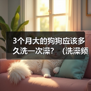 3个月大的狗狗应该多久洗一次澡？（洗澡频率对3个月大的狗狗的健康有何影响？）