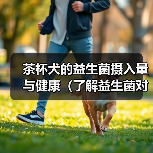 茶杯犬的益生菌摄入量与健康（了解益生菌对茶杯犬的好处，保护它们的肠道健康）（图4）