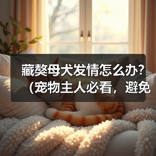 藏獒母犬发情怎么办？（宠物主人必看，避免犬只走失！）（图2）