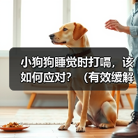 小狗狗睡觉时打嗝,该如何应对?(有效缓解小狗狗打嗝的方法)(图3) 小狗狗睡觉时打嗝,该如何应对?(有效缓解小狗狗打嗝的方法)(图3)