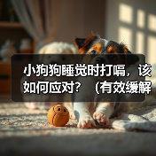 小狗狗睡觉时打嗝,该如何应对?(有效缓解小狗狗打嗝的方法)(图2) 小狗狗睡觉时打嗝,该如何应对?(有效缓解小狗狗打嗝的方法)(图2)