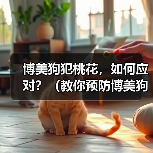 博美狗犯桃花，如何应对？（教你预防博美狗犯桃花的技巧和方法）（图4）
