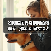 如何照顾假期期间的博美犬(假期期间宠物犬的饮食、运动、训练和安全等问题)(图2) 如何照顾假期期间的博美犬(假期期间宠物犬的饮食、运动、训练和安全等问题)(图2)