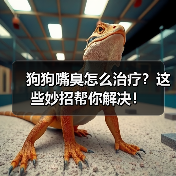 狗狗嘴臭怎么治疗?这些妙招帮你解决!(图2) 狗狗嘴臭怎么治疗?这些妙招帮你解决!(图2)
