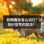 狗狗嘴臭怎么治疗？这些妙招帮你解决！