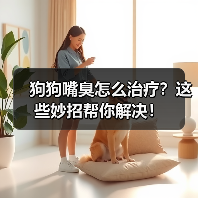 狗狗嘴臭怎么治疗?这些妙招帮你解决!(图4) 狗狗嘴臭怎么治疗?这些妙招帮你解决!(图4)