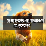 狗狗牙龈炎用甲硝唑到底行不行？（图3）