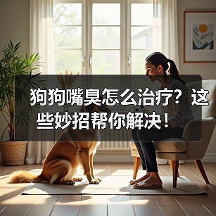 狗狗嘴臭怎么治疗?这些妙招帮你解决!(图3) 狗狗嘴臭怎么治疗?这些妙招帮你解决!(图3)