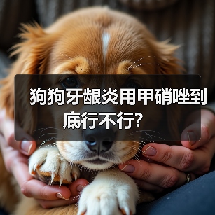 狗狗牙龈炎用甲硝唑到底行不行？（图2）