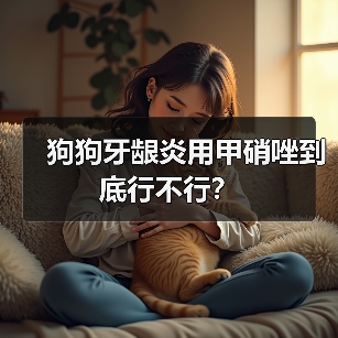 狗狗牙龈炎用甲硝唑到底行不行？（图4）