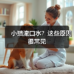 小猫流口水？这些原因很常见（图2）