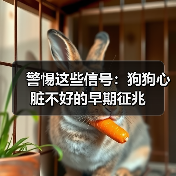 警惕这些信号：狗狗心脏不好的早期征兆（图2）