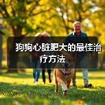 狗狗心脏肥大的最佳治疗方法
